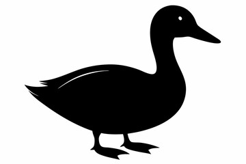 Duck Silhouette, Duck black silhouette Vector illustration
