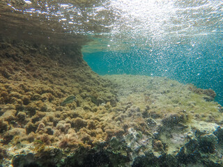 Dark blue ocean surface seen from underwater. Abstract waves underwater and rays of sunlight shining through, Sun light rays undersea deep, Underwater background with sea bottom, Mediterranean sea.
