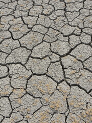 Dry desert lake bed during the summer.