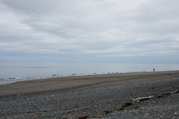 Driftwood on the beach with waves