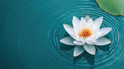A serene white lotus flower floats on calm turquoise water, surrounded by gentle ripples and a green leaf, creating a tranquil and peaceful scene.