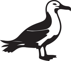 Seabird vector illustration design