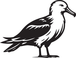 Seabird vector illustration design