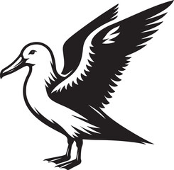 Seabird vector illustration design