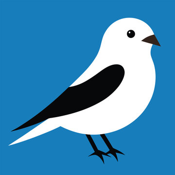 recommend clip art: Solid color Snow Bunting animal vector design