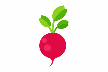 Radish Raphanus sativus creative vector design