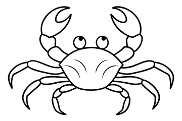 crab isolated on white background