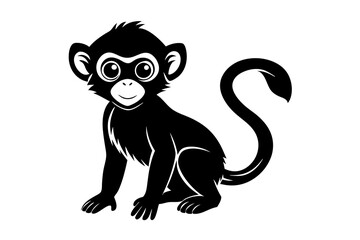 Baby Monkey