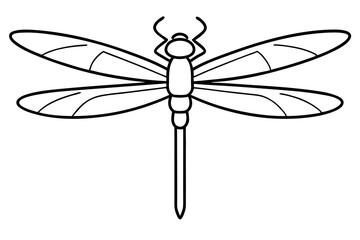 dragonfly on white background