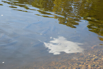 Catherine Pond in Moscow . There are a lot of fish in the pond.The Saltykov Palace.