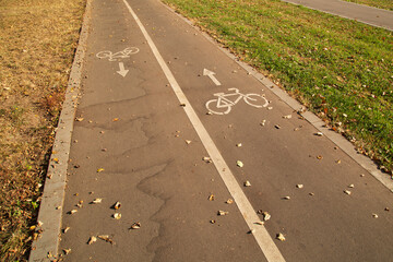 Bike path in the park. Special passage for bicycles.