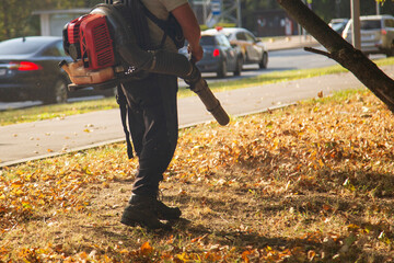 Leaf harvesting in autumn on the city street.