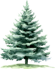 Fototapeta premium Christmas tree Watercolor clipart