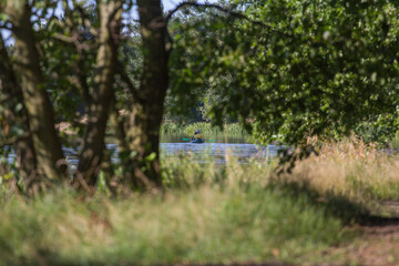 Kajakowy spływ rzeką Warta. Widok na kajakarzy i rzekę