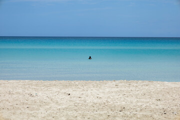 Fototapeta premium Praia de Varadeiro em Cuba, Paraíso Tropical