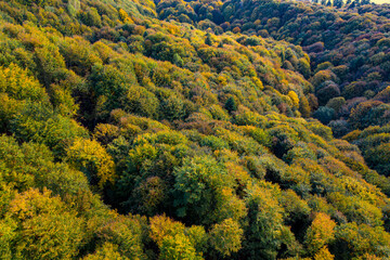 Dolina Popradu, Małopolska, Jesień 