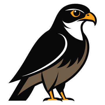recommend clip art: Solid color Sparrowhawk animal vector design