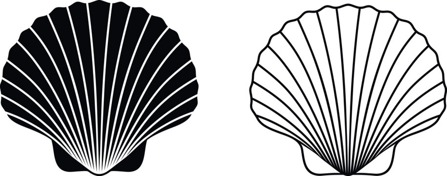 Scallop logo. Isolated scallop  on white background