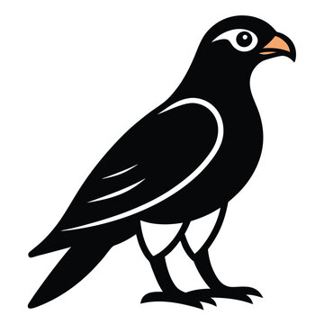 recommend clip art: Solid color Sparrowhawk animal vector design