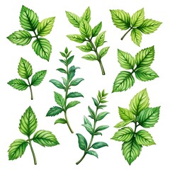 green leaves seamless pattern