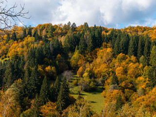 Fototapeta premium Village Transcarpathia region scenic Sunny Carpathian mountains view Ukraine, Europe. Autumn countryside rural landscape. Fall spruce pine trees lush foliage Eco Local tourism hiking Recreational area