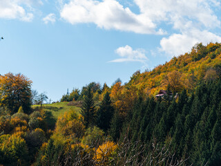 Village Transcarpathia region scenic Sunny Carpathian mountains view Ukraine, Europe. Autumn countryside rural landscape. Fall spruce pine trees lush foliage Eco Local tourism hiking Recreational area