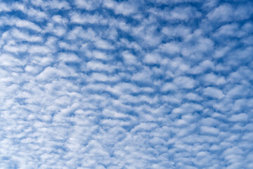 white clouds covering the blue sky