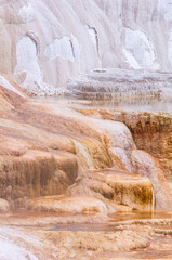 Stunning Terraces of Mammoth Hot Springs in Yellowstone National Park, Wyoming Highlighting Natural Beauty and Geothermal Wonders