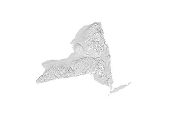 New York Elevation Ridgeline Map - Topographic SVG Visualization of State Terrain from Atlantic Coast to Adirondack Mountains