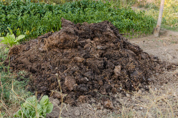 Heap of compost and manure in a garden decomposing to nourish the soil without using chemical fertilizers. Ecological and organic healthy nutrition. Horizontal photography.