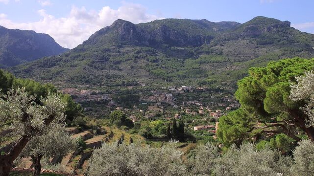 Gorgeous view to the lush S&ouml;ller valley with olive trees embedded in beautiful mountain range as Majorca travel videos concept.