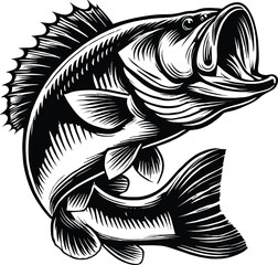 Bass fish vector illustration.