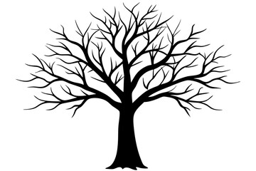 Tree without leaves silhouette | vector silhouette illustration on white background