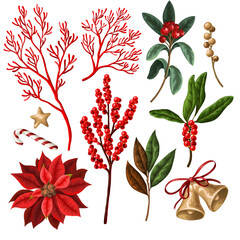 Red berries, poinsettia and bells isolated. Vector.
