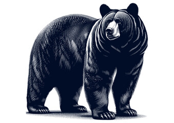 bear vector, bear silhouette