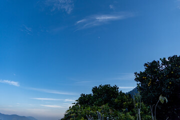 Clear blue sky with wispy clouds and the faint outline of a crescent moon in the center. Dense...