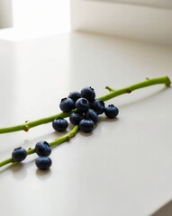 Fototapeta premium A collection of blueberries atop a green branch on a white counter.