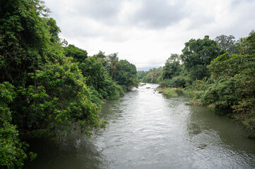 Fototapeta premium Calm river flowing through lush green forests in Goa, India, reflecting blue skies and surrounded by vibrant tropical vegetation, showcasing serene natural beauty and tranquility.