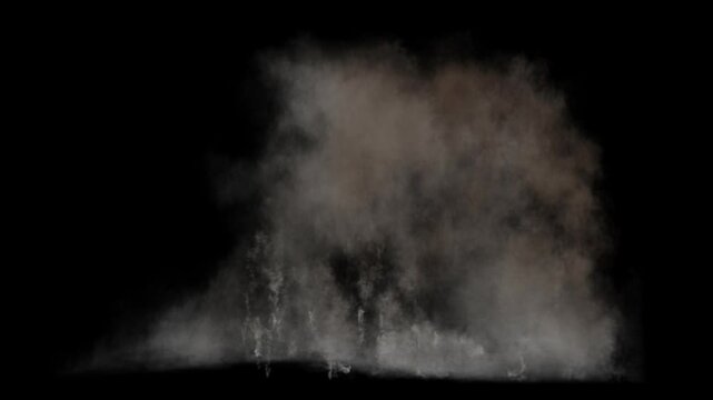  Large dust explosion on transparent background with trails
3d rendering of fire explosion simulation with alpha channel (transparent background)
