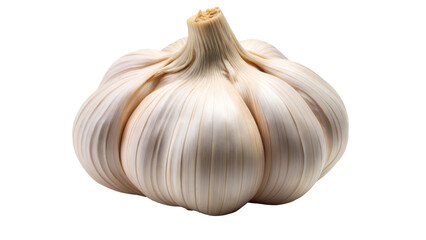 Obraz premium Fresh garlic bulb isolated on transparent or white background.