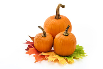 Autumn Pumpkins. Pumpkins and Leaves on white background