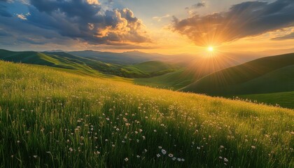 Sunlight bathes grassy hillside under a vibrant sky during golden hour