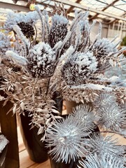 christmas decorations, store with Christmas toys, balloons on the shelves, Christmas tree, gnomes, 