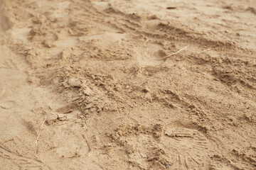 River sand close-up. Traces of adult shoes.