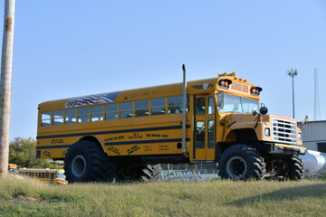 School Bus © Steve