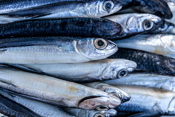 Fresh small silver fish in the market. Fresh food.