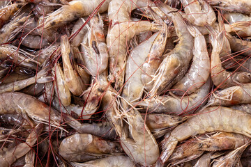 Fresh shrimps at the fish market. Tropical crustacean food.