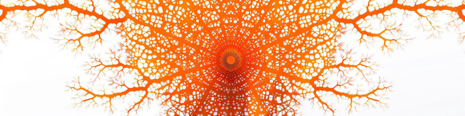 Orange Burst Fractal: A tiny orange dot expands and branches out into a complex, intricate fractal pattern against a solid white background, showcasing intricate detail.