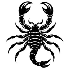 scorpion tattoo vector