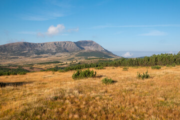 Almlandschaft in Südtirol mit Blick auf den Villandersberg